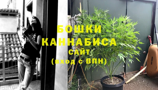 сатива Иннополис