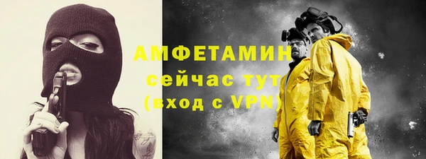сатива Иннополис