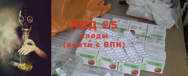 сатива Иннополис