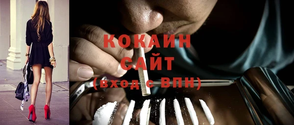 сатива Иннополис