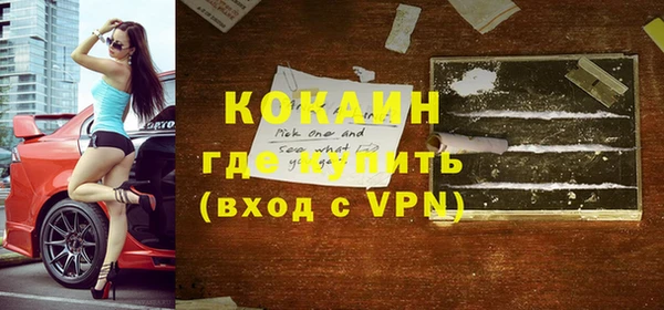 сатива Иннополис