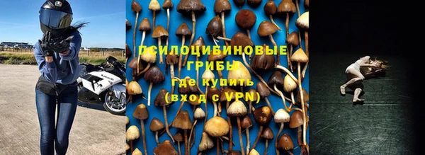 ECSTASY Инта