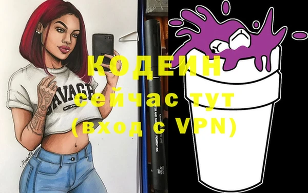 сатива Иннополис