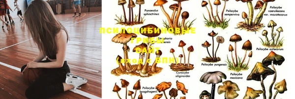 ECSTASY Инта
