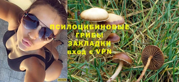 сатива Иннополис
