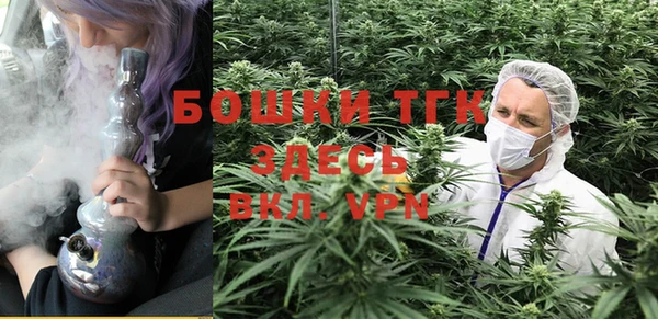 прущие крисы Инсар