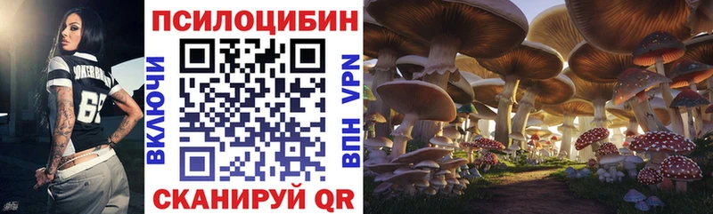 Купить закладки Хвалынск Галлюциногенные грибы ЛСД